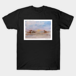 Mangrove Beach Misty Morning - Watercolour T-Shirt